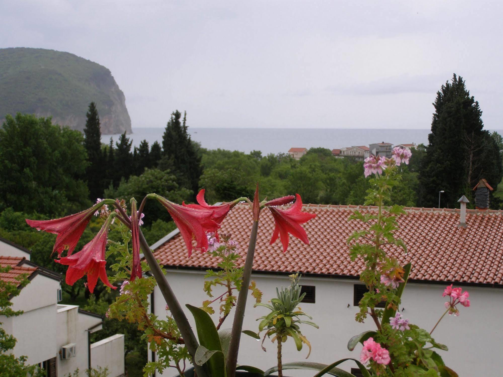 Hotel Wellness & Spa Angelo Gabriel Petrovac Екстер'єр фото