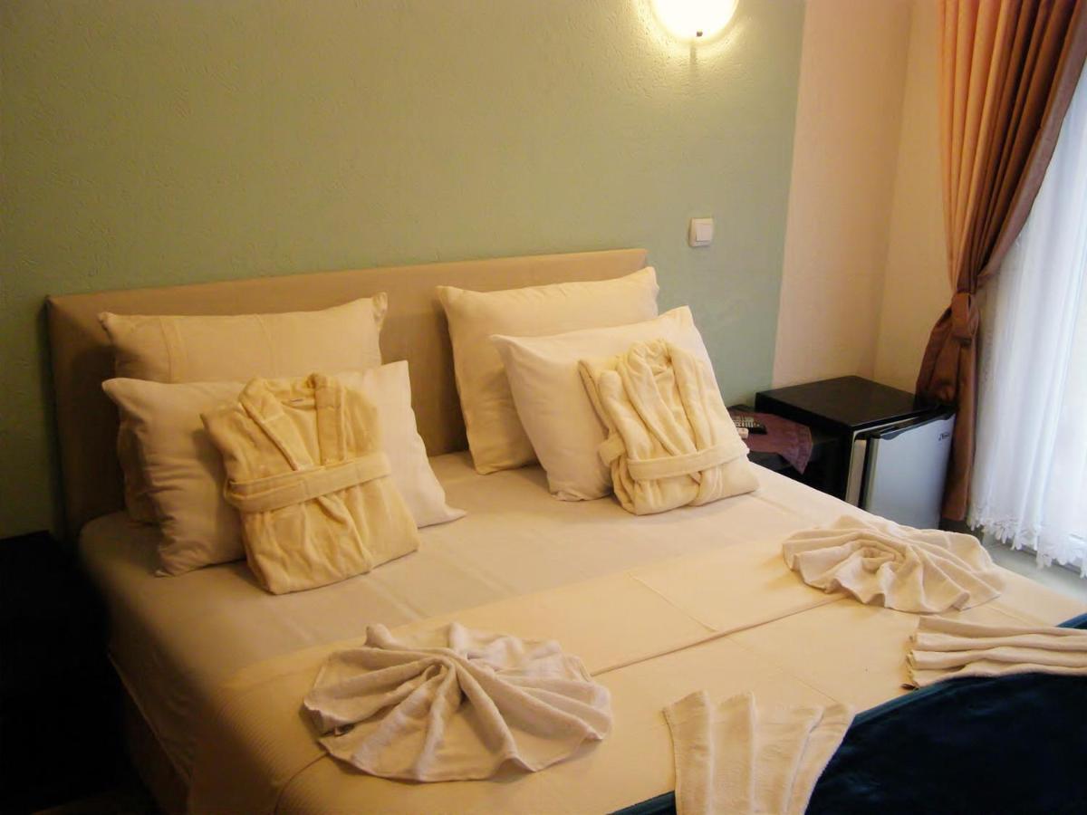 Hotel Wellness & Spa Angelo Gabriel Petrovac Екстер'єр фото